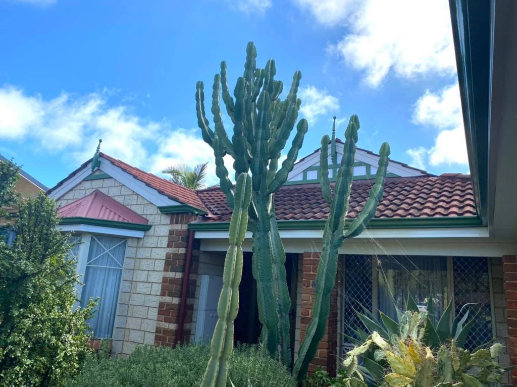 Aubin Grove Painted House